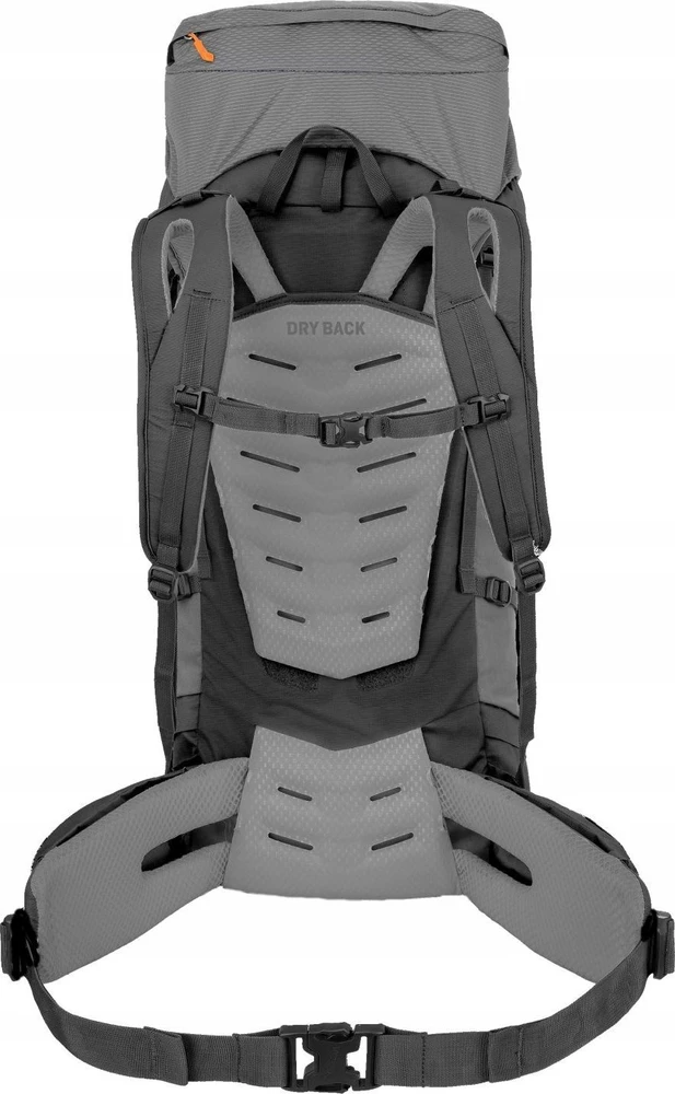 Kuprinė Salewa Alptrek 65