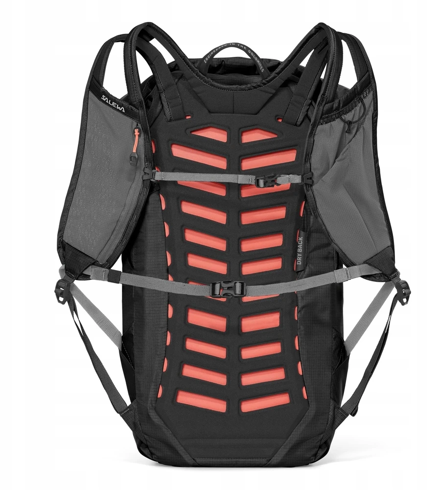 Kuprinė Salewa Pedroc Core 22, juoda