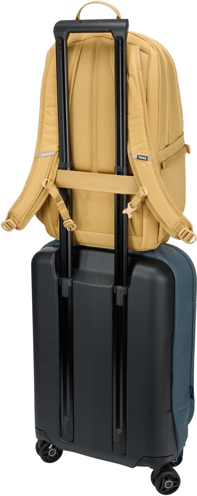 Thule EnRoute | Backpack | Pale Geltona