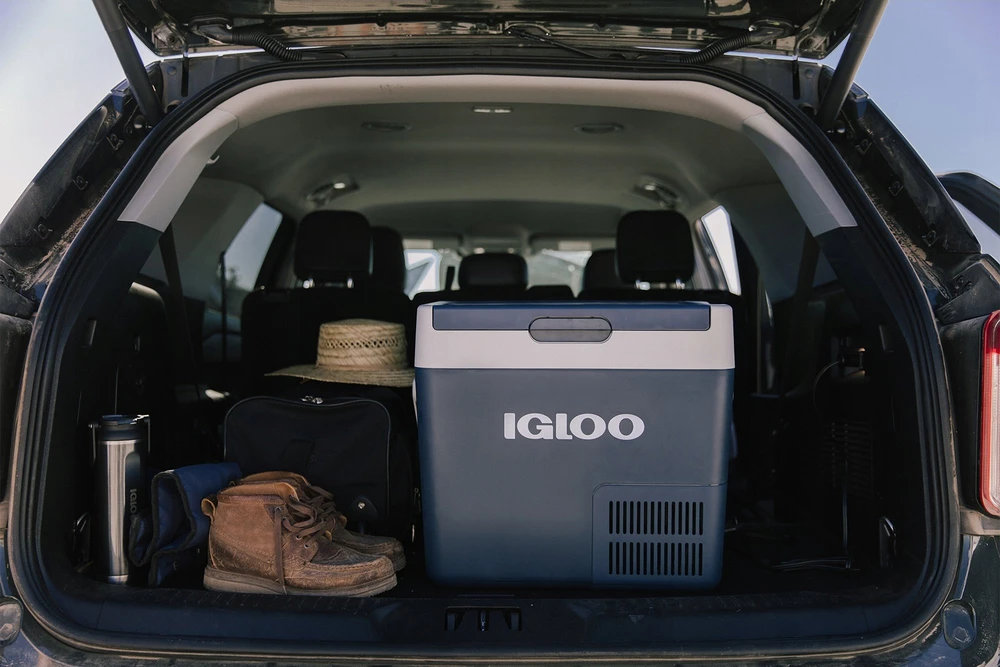 Igloo ICF 18 cool box 18.9 L Electric Mėlyna, Pilkas