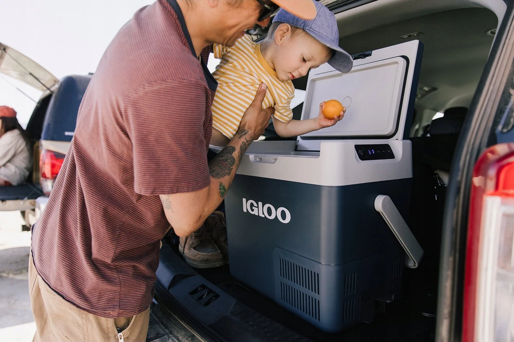 Igloo ICF 18 cool box 18.9 L Electric Mėlyna, Pilkas