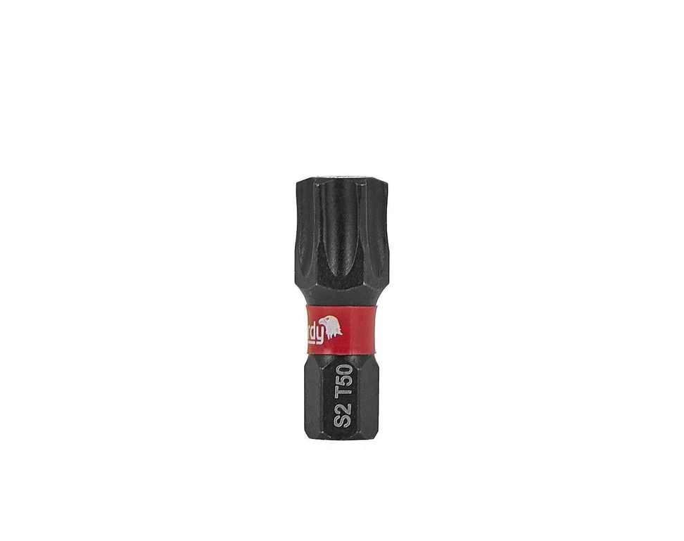 Tvardy Bit smūginis T50 25mm S2 – dėžutė (10/120)