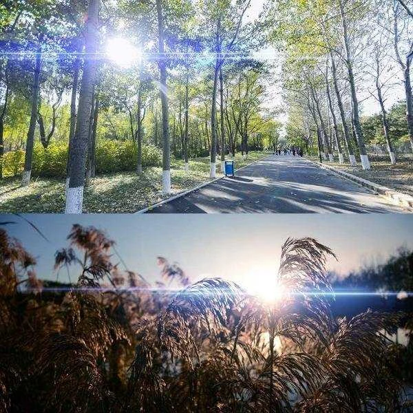 Ulanzi 1.15x Anamorfinis objektyvas / DJI Mavic 3 / SKU 2869