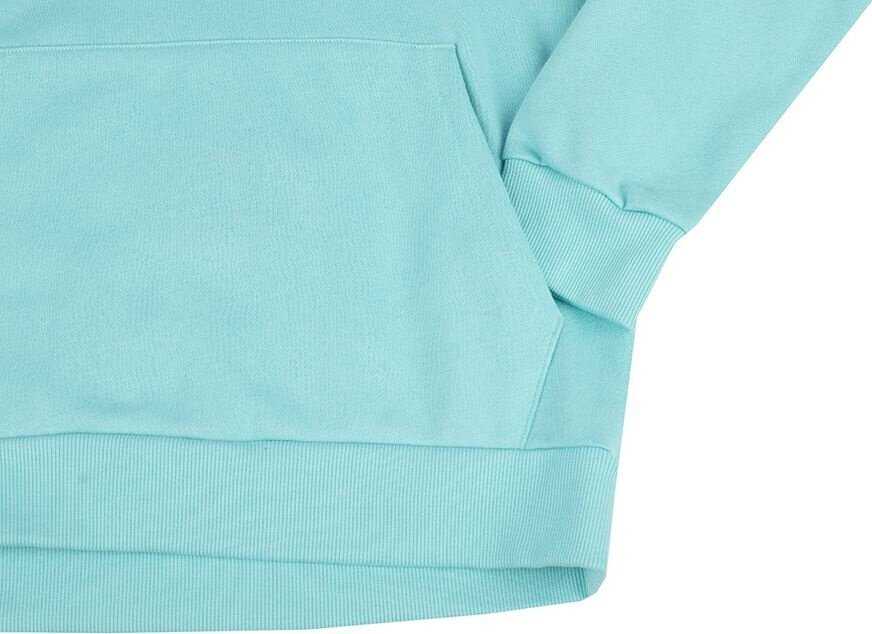 Vyriškas džemperis su gobtuvu Under Armour Rival Fleece, mėtų spalvos