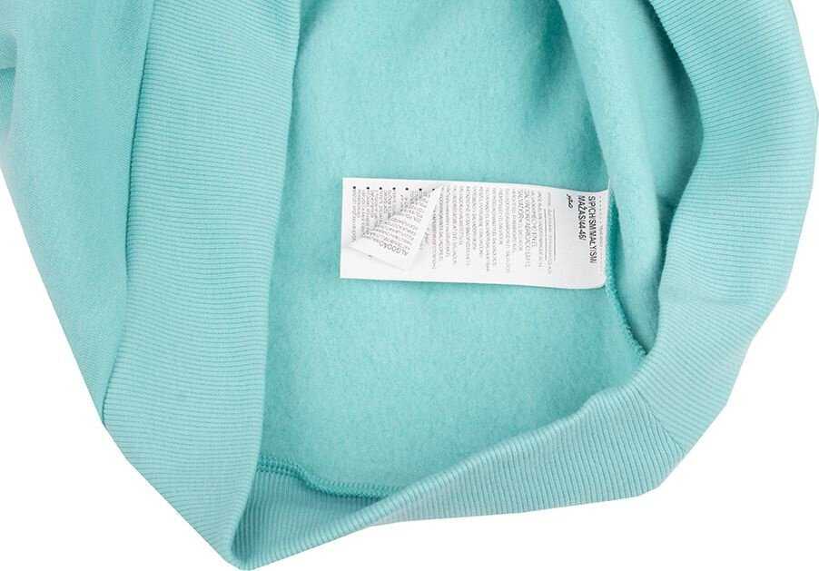 Vyriškas džemperis su gobtuvu Under Armour Rival Fleece Logo, mėtų spalvos
