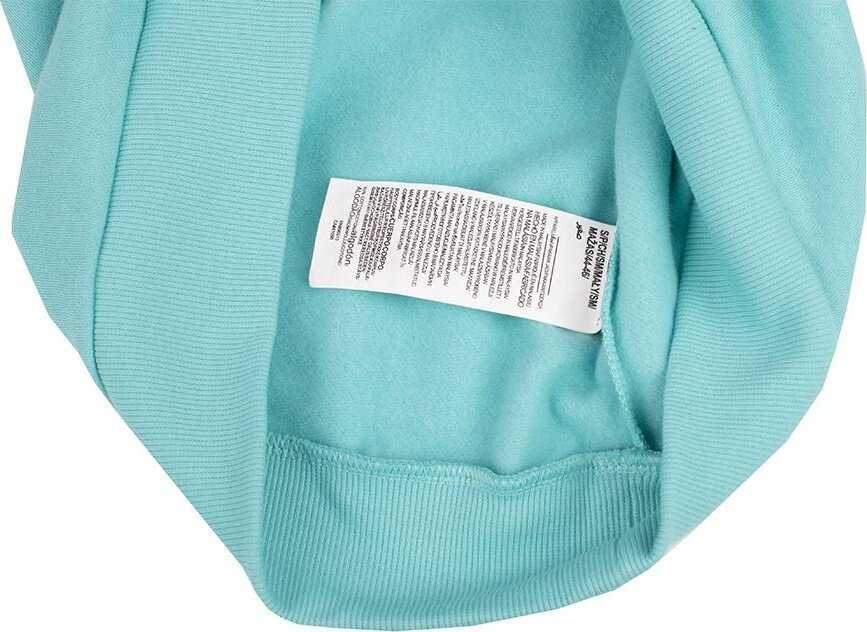 Vyriškas džemperis su gobtuvu Under Armour Rival Fleece, mėtų spalvos