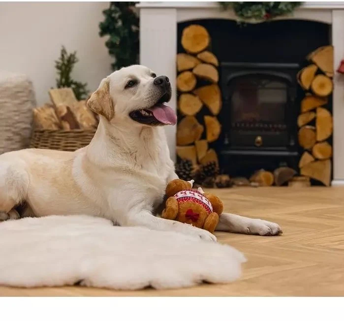 Unizoo Beeztees Žaislas šunims su kalakutiena ir virve 30 cm