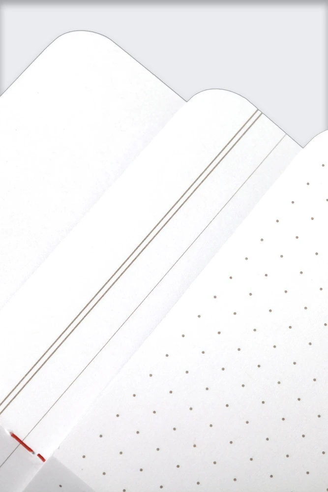 Usams Notes Field Notes 2024 m. pavasario Flora Edition Mix