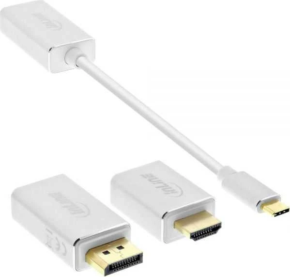 Adapteris USB InLine USB-C – DisplayPort Baltas (64109S)