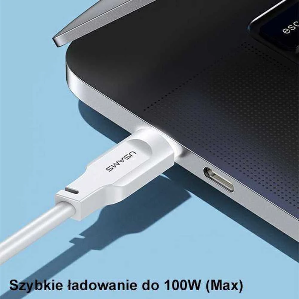 USAMS Lithe Series 100W PD tipo C iki C tipo