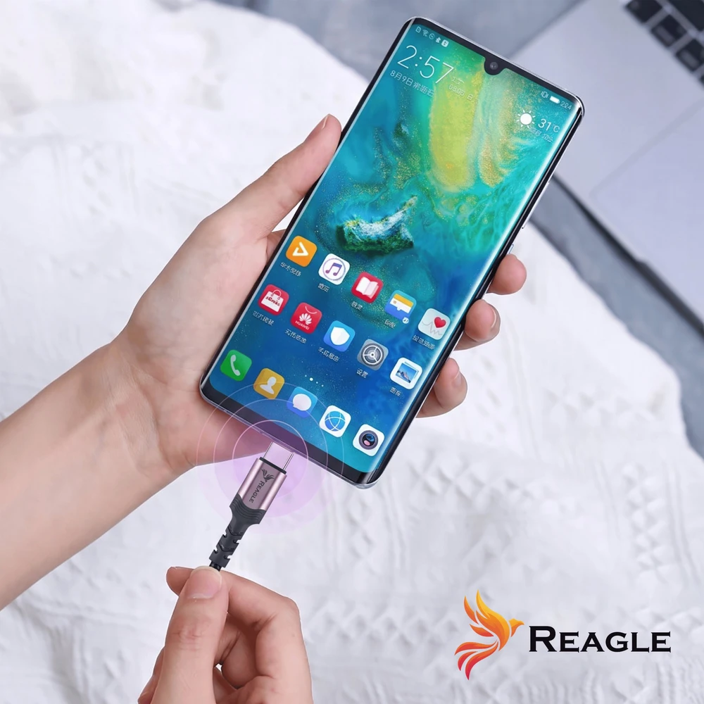 USB laidas Reagle USB-C - USB-C 5 m Juodas