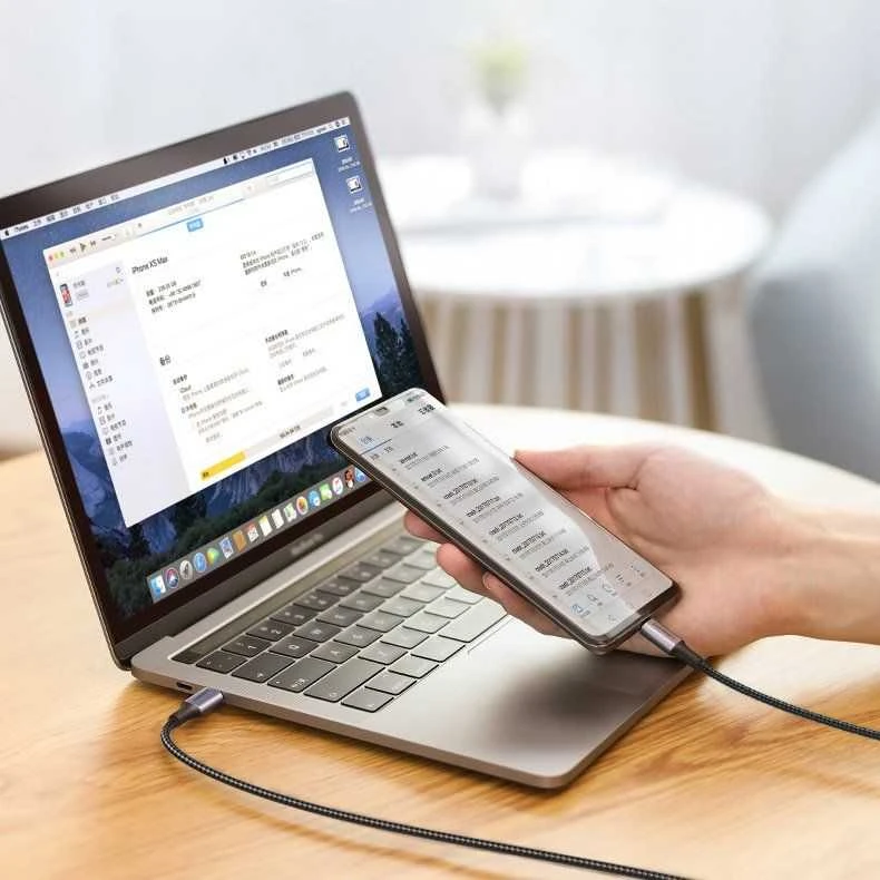 USB laidas Ugreen USB-C – USB-C 2 m pilkas (56613)