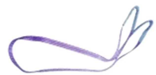 Usorteret Target Ladungssicherung 90501 Løftebånd Arbejdsbelastning (WLL)=1 t Violet