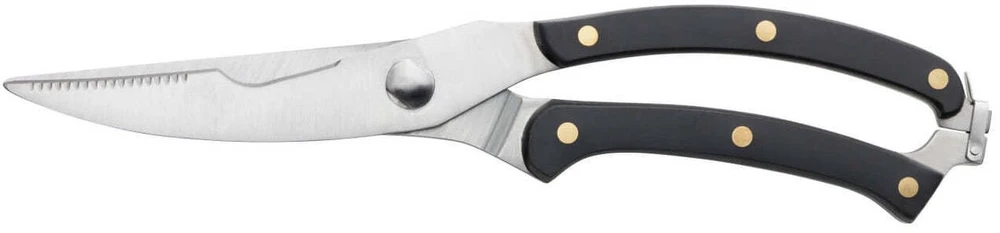 Usorteret Tayloreye Žirklės paukštienai Taylor Eye Witness TETDH009, ilgis 25 cm