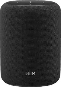 Usorteret WiiM Sound Lite - Juodas