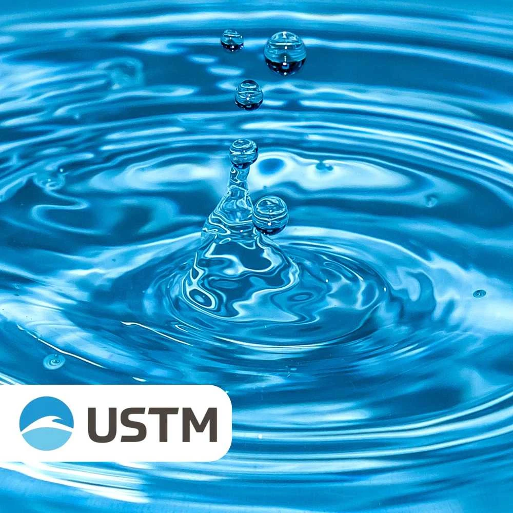 USTM virvelės įdėklas 10'' PP5M FI55 - PP5M FI55