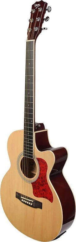V-TONE EAG SET NT - set (4/4 electro-acoustic guitar, natural + amplifier)