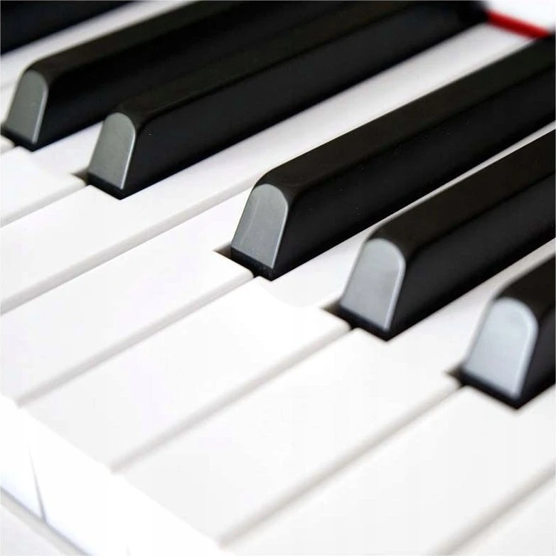 V-Tone V-TONE BL-8808 WH skaitmeninis pianinas mokymuisi su USB MID