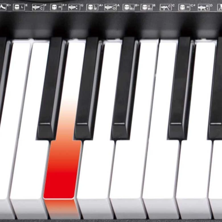 VTO V-TONE VK 500-61L klaviatūros vargonų klavišai vaikams