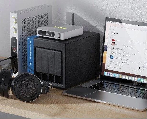 Vaizdo grotuvas Multimedijos grotuvas FiiO SR11 - sidabrinis - Grotuvas sieciowy audio