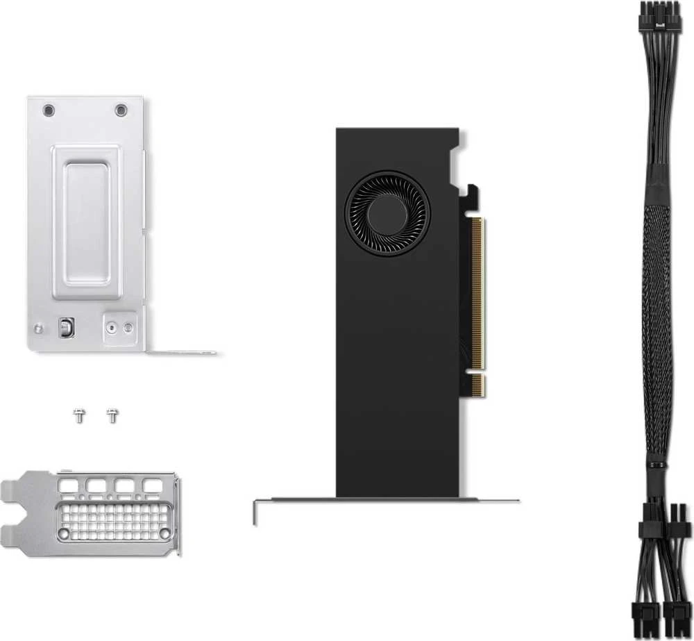Vaizdo plokštė Lenovo RTX 2000 Ada | NVIDIA | 16 GB | GDDR6 | PCIe 4.0 x 8