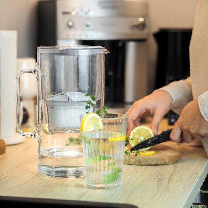 Vandens filtravimo ąsotis Wessper Aquamax Crystalline + 1 vandens filtras | pilkas