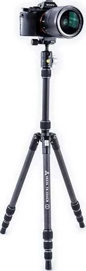 Vanguard VESTA TB204CB trikojis, anglinis