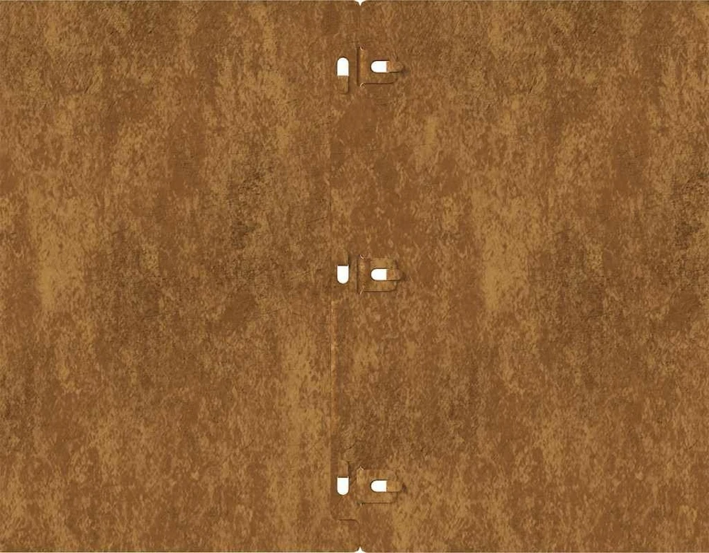 Vejo kraštas 20 pcs 25 x 103 cm Rūdijanti