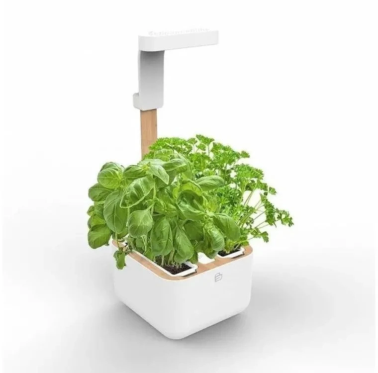 Veritable Véritable Botaneo – automatinė vazonėlis + 2 žolelių įdėklai