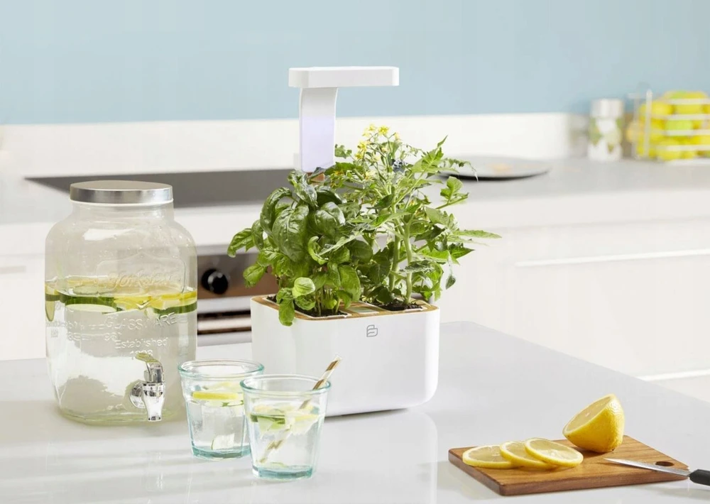 Veritable Véritable Botaneo – automatinė vazonėlis + 2 žolelių įdėklai