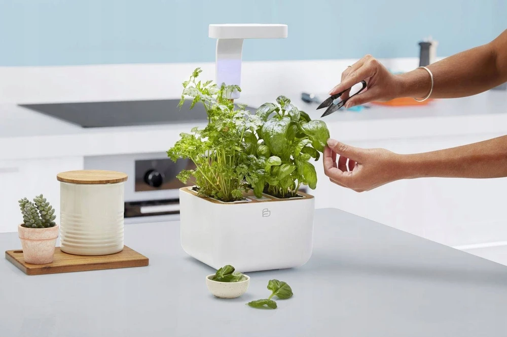 Veritable Véritable Botaneo – automatinė vazonėlis + 2 žolelių įdėklai