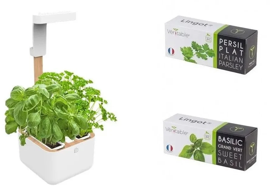 Veritable Véritable Botaneo – automatinė vazonėlis + 2 žolelių įdėklai