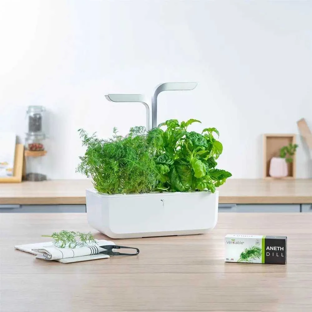 Veritable Véritable Lingot Kopr BIO*