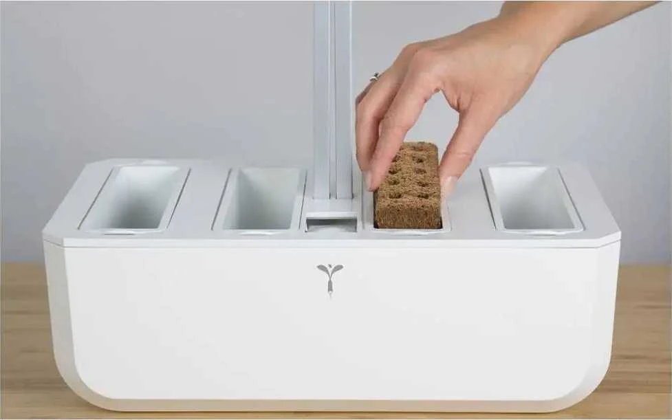Veritable Véritable Lingot Kopr BIO*