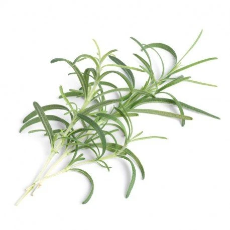 Veritable Tikras rozmarinas Lingot