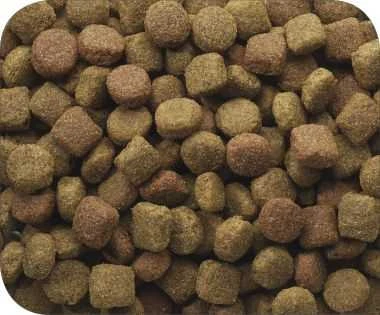 VERSELE-LAGA Classic Duo Krok - sausas šunų maistas - 20 kg
