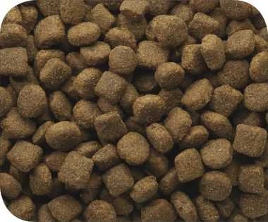 VERSELE-LAGA Classic su ėriena ir ryžiais - dry dog food - 20 kg