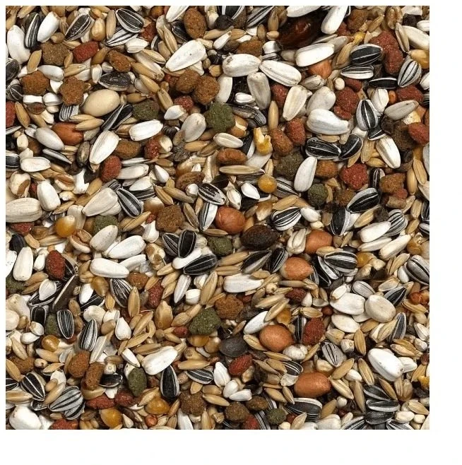Versele-Laga Prestige 2.5kg Loro Parque African Parrot Mix /4 (422202)