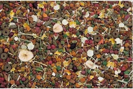 Versele-Laga nv Nature Original Chinchilla šinšilų pašaras, 750 g