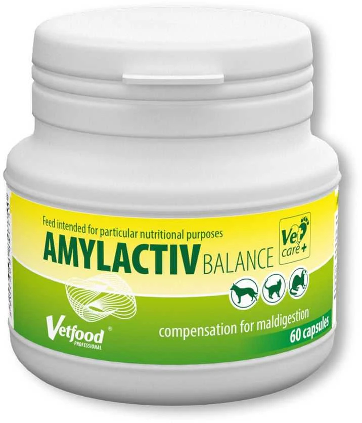 VETFOOD Amylactiv Balance – papildai šunims ir katėms – 60vnt.