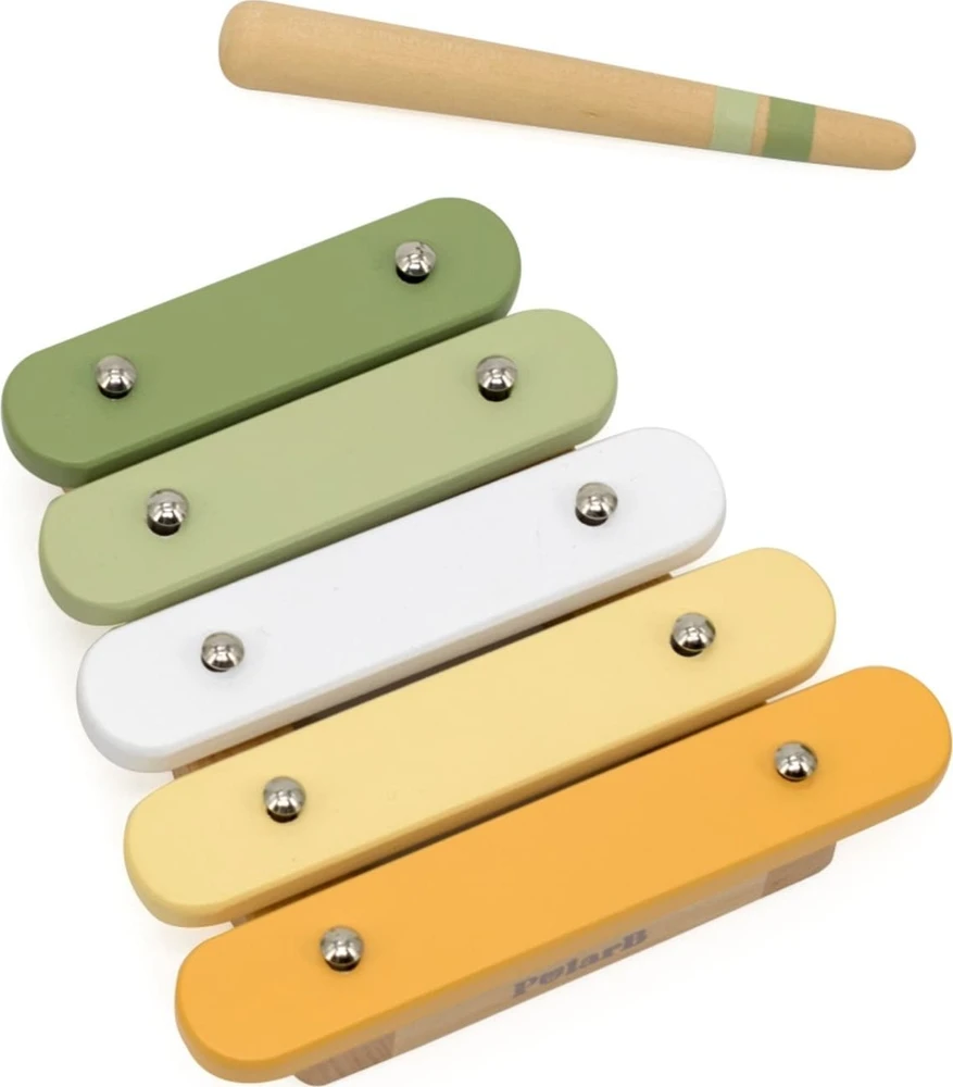 Viga Toys VIGA Muzikiniai Instrumentai Rinkinys PolarB Žalias