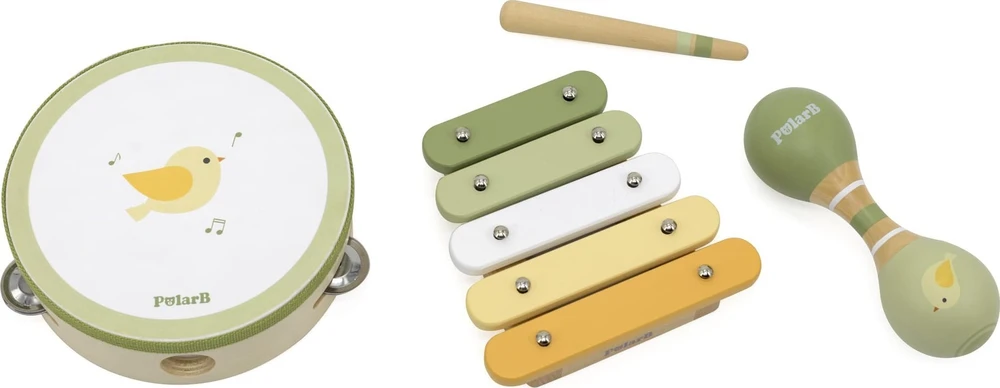 Viga Toys VIGA Muzikiniai Instrumentai Rinkinys PolarB Žalias