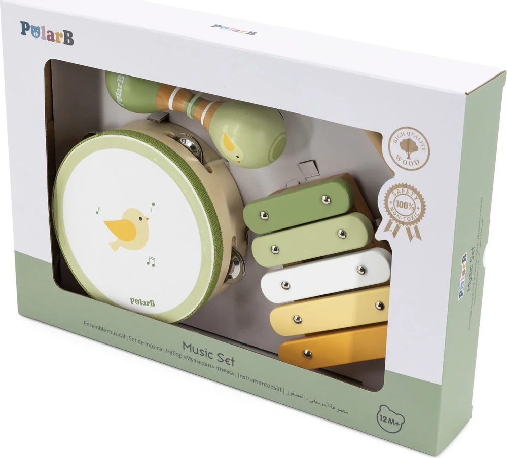 Viga Toys VIGA Muzikiniai Instrumentai Rinkinys PolarB Žalias