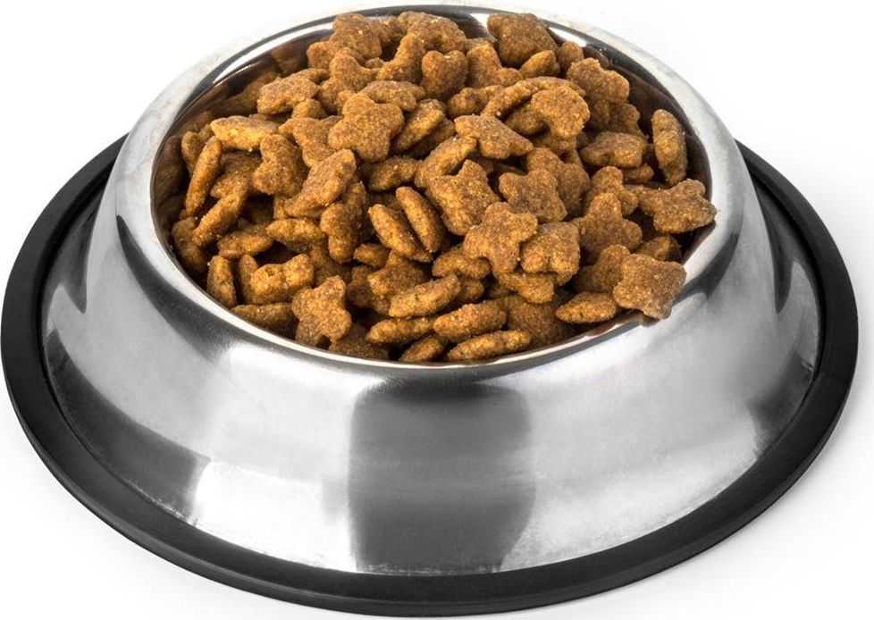 Vilde Dogs Collection DUBENIS ŠUNIUI IR KAČIUI, NERŪDijančio plieno, 34cm