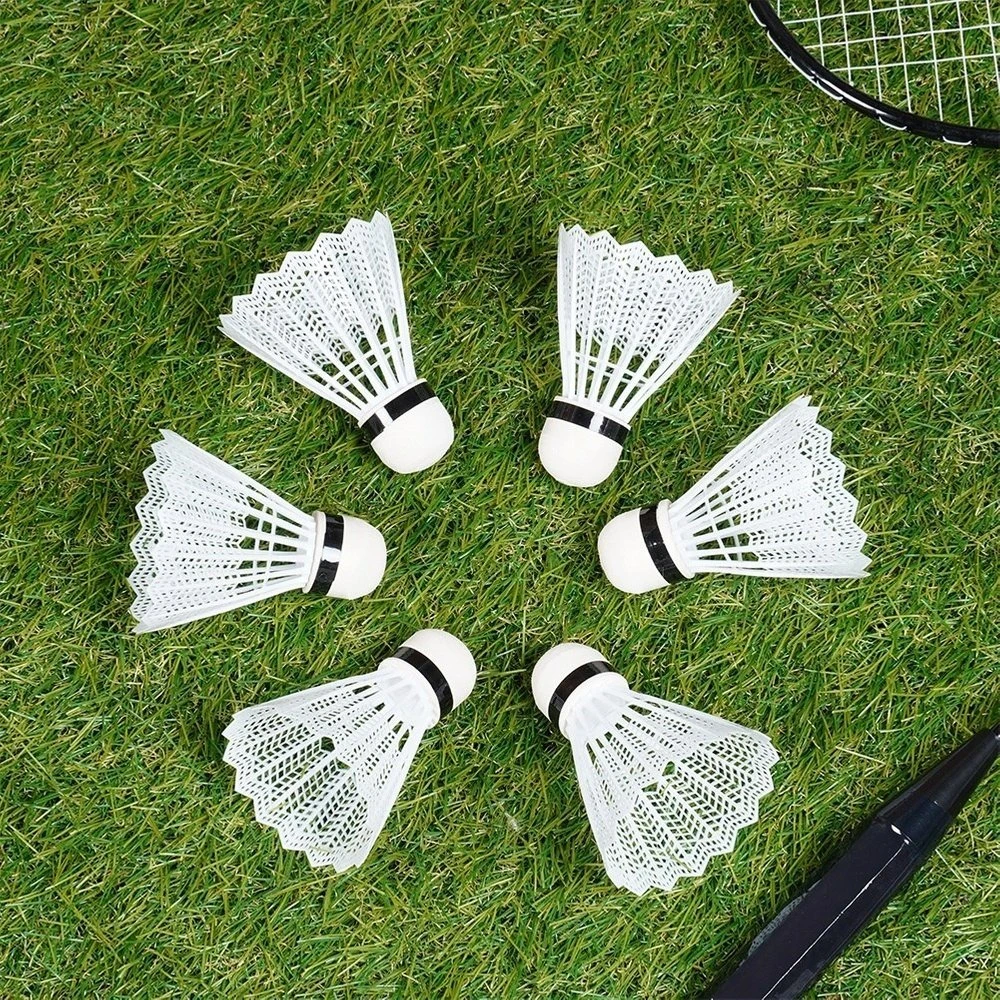 Badmintono rinkinys Vilde, 61 cm, 4 raketės, 8 plunksnos