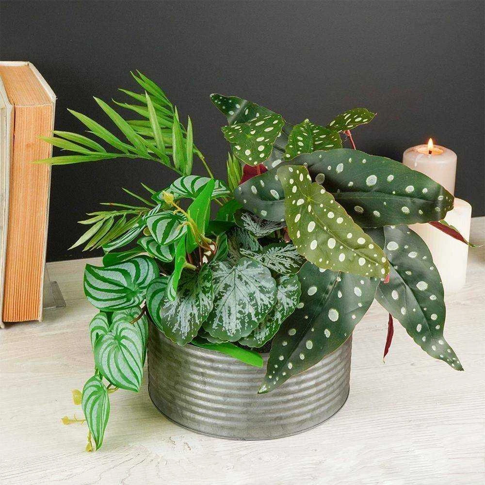 Vilde Dirbtinis augalas su vazonu 28 cm