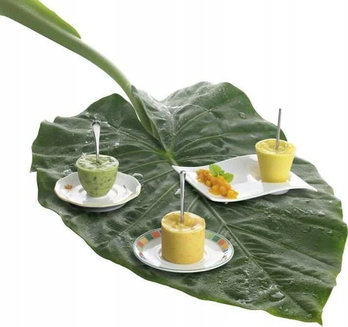 Villeroy & Boch Lėkštutė Villeroy&Boch NewWave, puodeliui 250ml, porcelianas, 20 x 14 cm, vnt