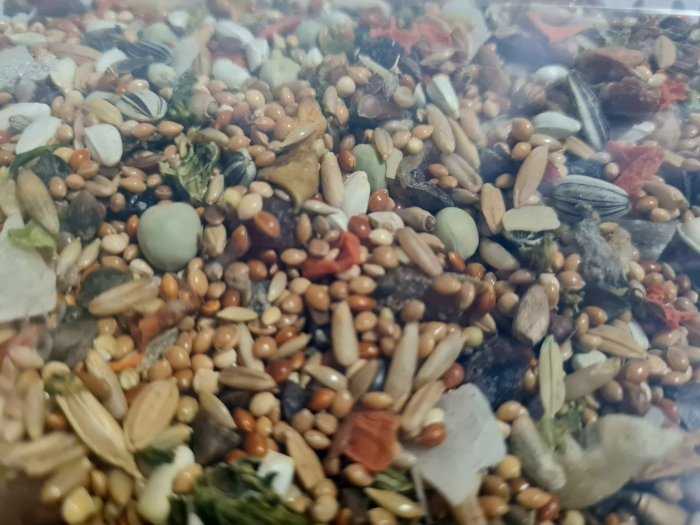 Vitapol Vitaline Visavertis ėdalas uogienėms, vienuolių papūgoms ir kitoms vidutinio dydžio papūgoms, 2,2kg kibiras