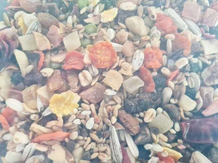 Vitapol Vitaline Visavertis pašaras papūgams, papūgoms ir kitoms didelėms papūgoms, 1,9kg kibiras