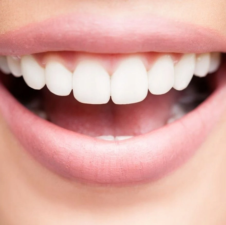 Vitis VITIS GINGIVAL Rinkinys PODRÓZNY